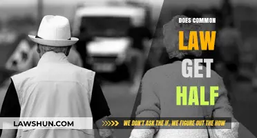 Common-Law Partners: Entitled to Half?