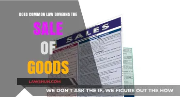 Common Law: Governing Sales of Goods