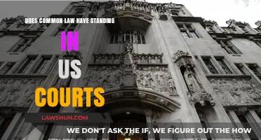 Common Law's Standing in US Courts