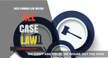 Common Law and Case Law: What's the Difference?