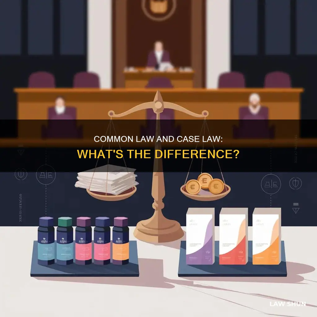 does common law include all case law