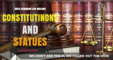 Common Law: Constitutions and Statutes Explained