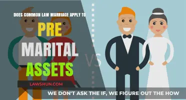 Understanding Common Law Marriage and Pre-Marital Assets