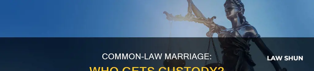 does common law marriage dictate custody