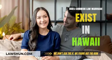 Hawaii's Stance on Common Law Marriage