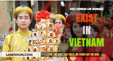 Common-Law Marriage in Vietnam: Is It Recognized?