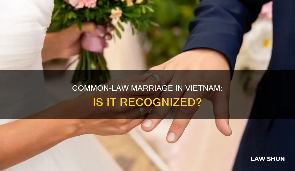 does common law marriage exist in vietnam