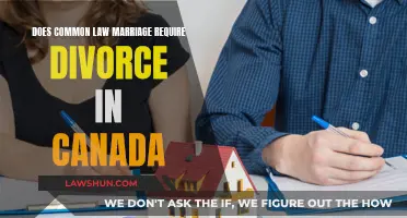 Common-Law Divorce: What's the Deal in Canada?