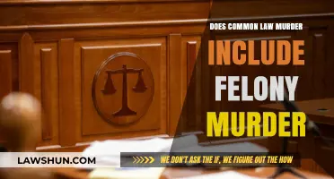 Common Law Murder: Does It Include Felony Murder?