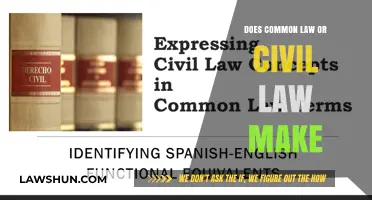Civil Law vs Common Law: What's the Difference?