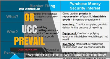 Common Law vs UCC: Which Takes Precedence?