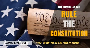 Common Law vs. Constitution: Who Wins?