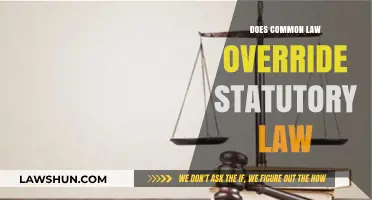 Common Law vs Statutory Law: Which Prevails?