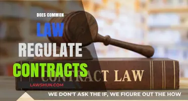 Common Law's Role in Contract Regulation