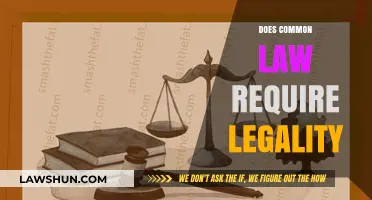 Common Law and Legality: A Complex Relationship