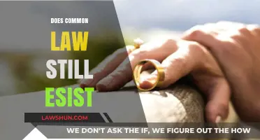 Common Law: Still Relevant or Relic of the Past?