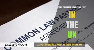 Common Law in the UK: Still Relevant?