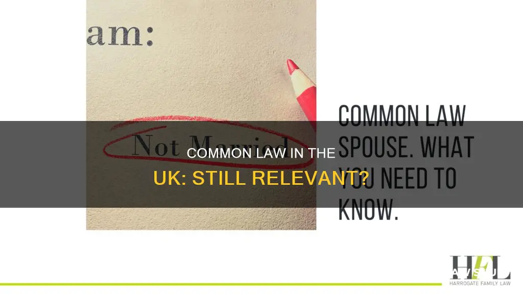 does common law still exist in the uk