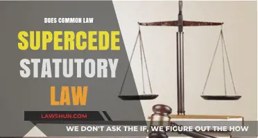 Common Law vs Statutory Law: Who Wins?