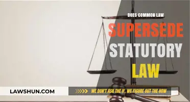 Common Law vs Statutory Law: Which Takes Precedence?