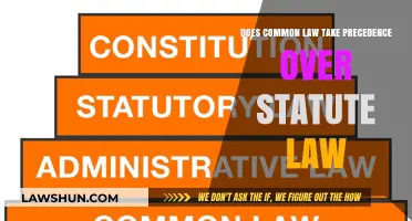 Common Law vs Statute Law: Who Wins?