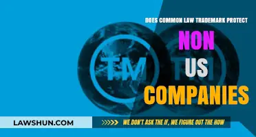 Trademark Protection: Common Law for Non-US Companies