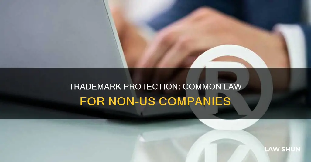 does common law trademark protect non us companies