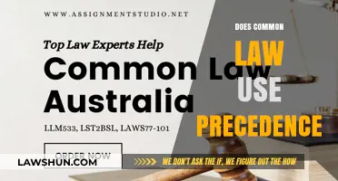 How Common Law Uses Precedence to Evolve