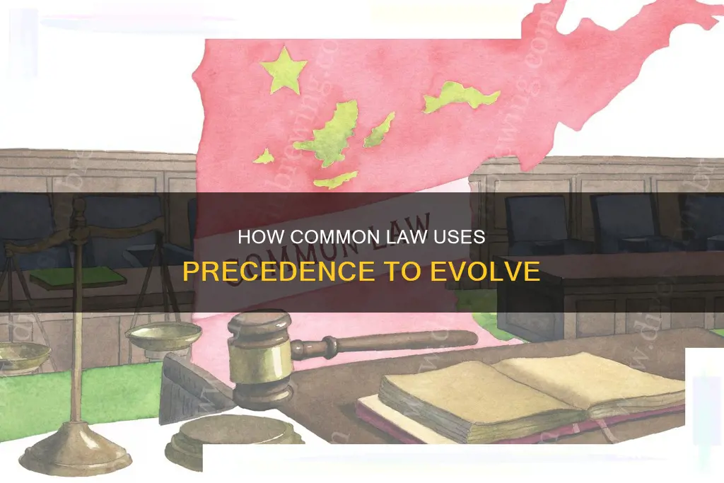 does common law use precedence