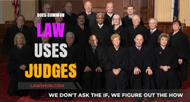 How Judges Influence Common Law