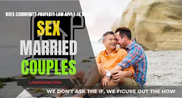 Community Property Law: Same-Sex Couples' Entitlement