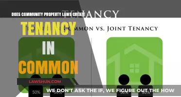Community Property Laws: Tenancy in Common Explained