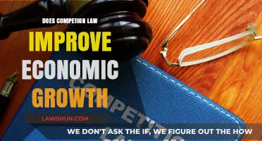 Does Competition Law Fuel Economic Growth? A Comprehensive Analysis