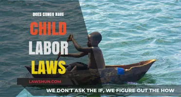 Child Labor Laws in Congo: Understanding Protections and Challenges