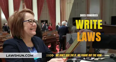 Does Congress Write Laws? Understanding the Legislative Process in America