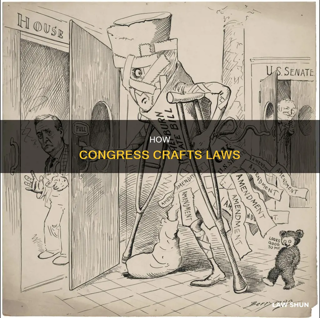 does congress create laws