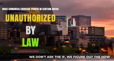 Congress's Unchecked Authority: Exploring Unauthorized Power Exercises in Key Areas