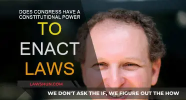Congress' Lawmaking Powers: Constitutional Limits Explored