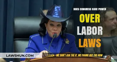 Congress' Authority Over Labor Laws: Scope, Limits, and Implications
