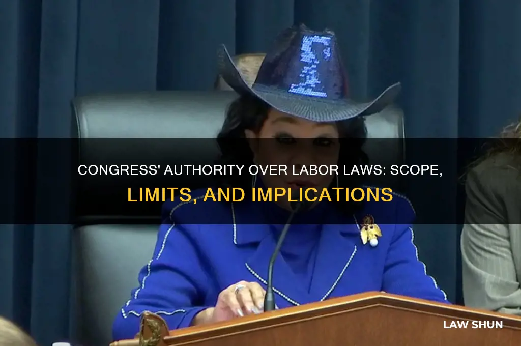 does congress have power over labor laws