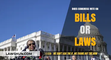 Congress Voting Process: Bills vs. Laws Explained Simply