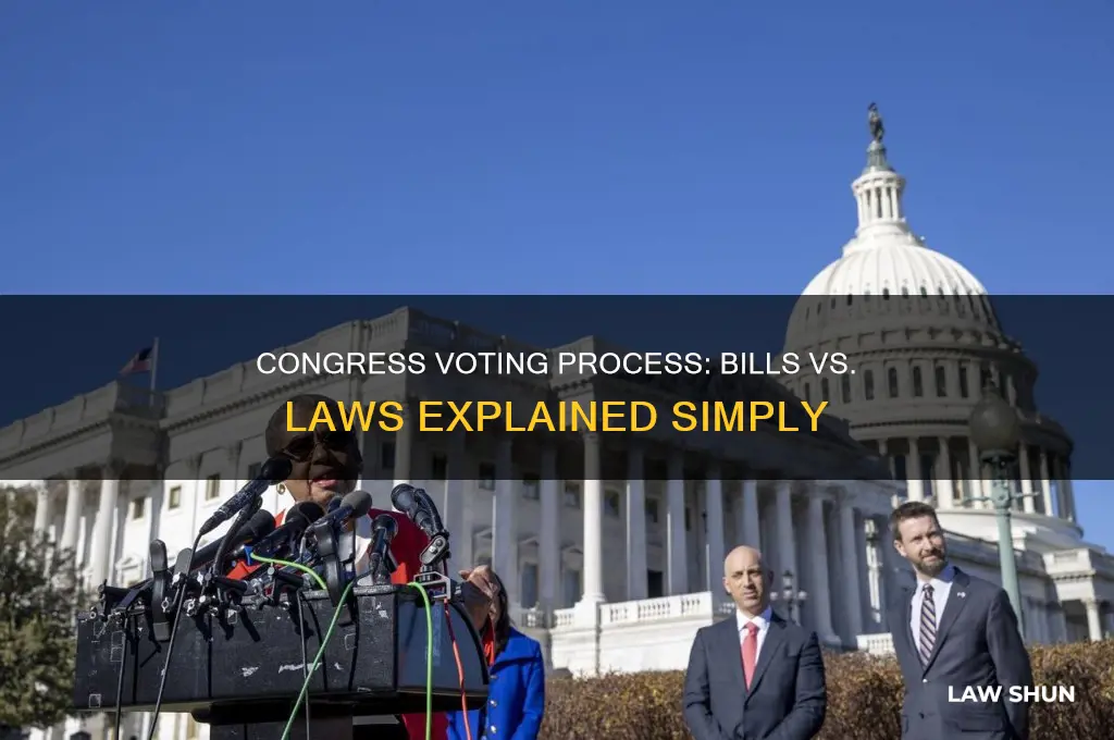 does congress vote on bills or laws