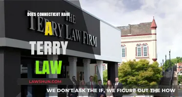Exploring Connecticut's Legal Landscape: The Terry Law Debate