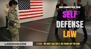 Understanding Connecticut's Self-Defense Laws: A Comprehensive Guide
