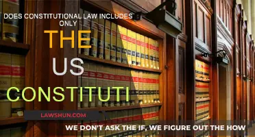 Constitutional Law: Beyond the US Constitution