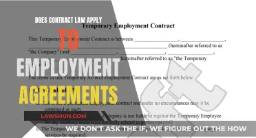 Contract Law: Understanding Employment Agreement Basics