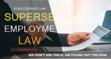 Contract Law vs Employment Law: Who Wins?