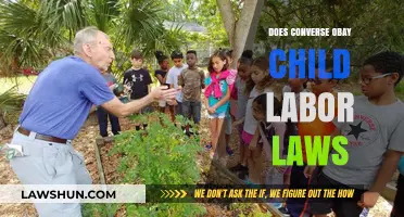 Does Converse Obey Child Labor Laws? Uncovering Ethical Practices