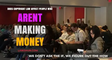 Copyright Law: Does It Apply to Non-Profit Creators and Users?