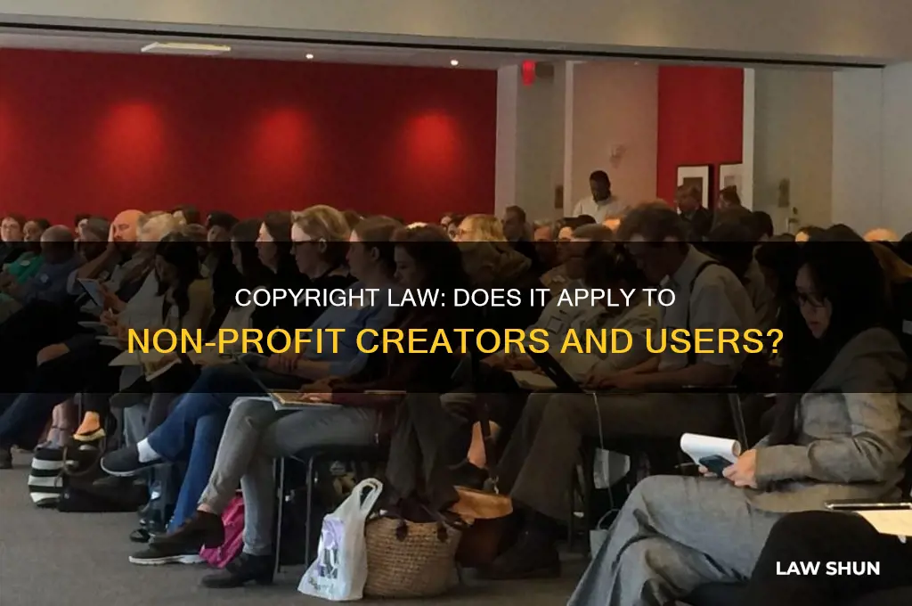 does copyright law affect people who arent making money
